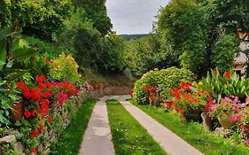 Agrifoglio B&B Con Giardino