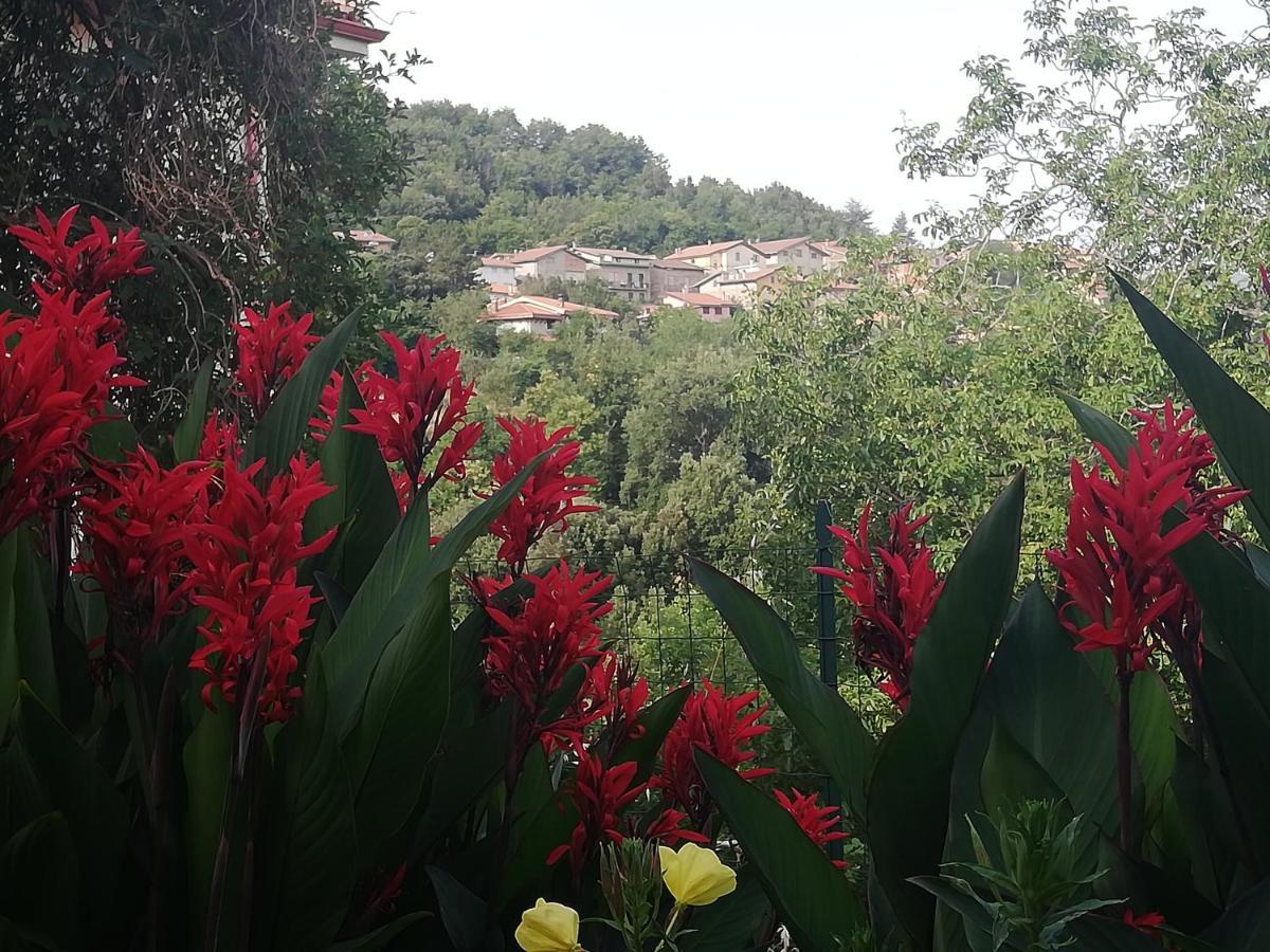 Agrifoglio B&B Con Giardino Aritzo Exterior photo