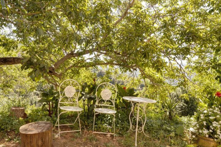 Agrifoglio B&B Con Giardino Aritzo Exterior photo